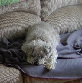 Katy at 14