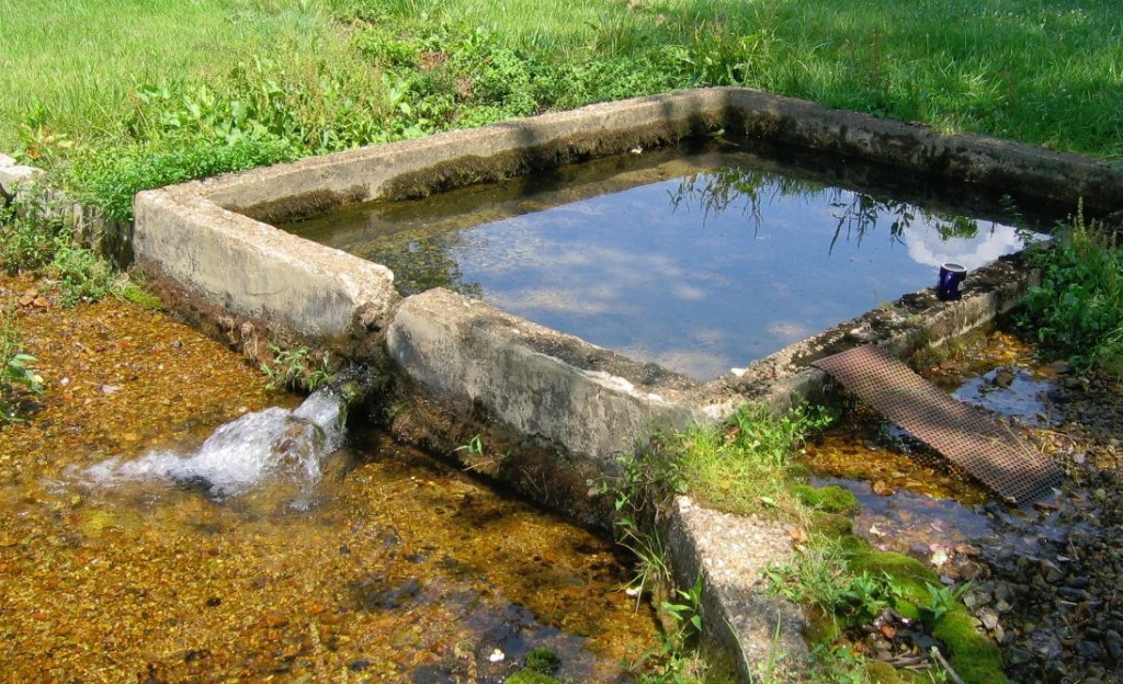 The Bingham Springs