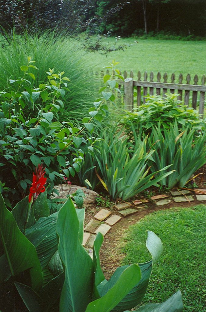 Brick and fencing contain this corner of my garden