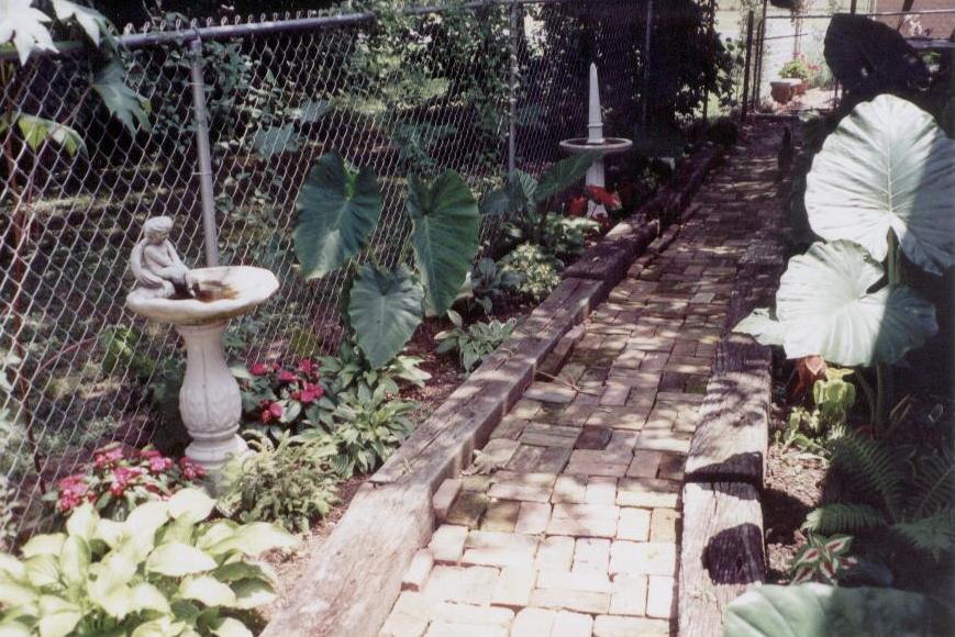 A variety of plants love the shade