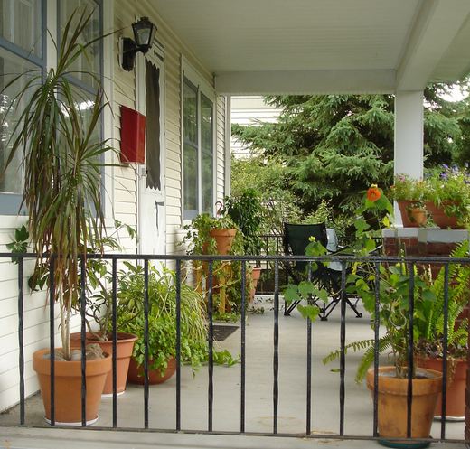 Houseplants outdoors