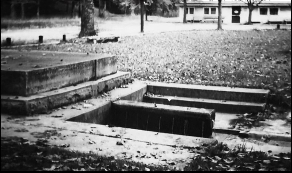 "Old" Kuttawa Springs "Old" Kuttawa Springs