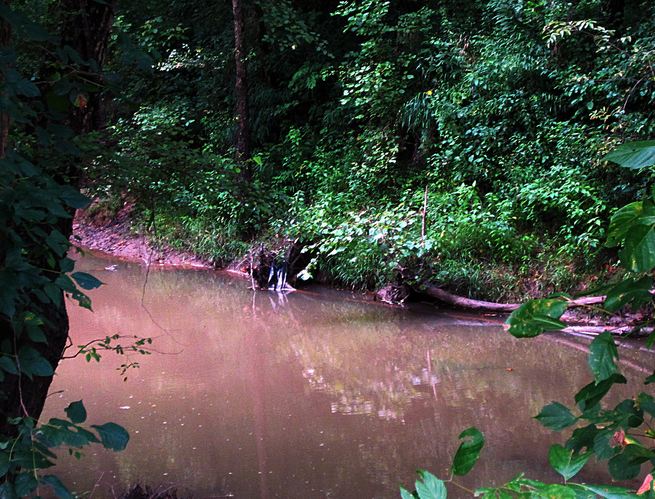 Our swimming hole was muddy when we finished with it