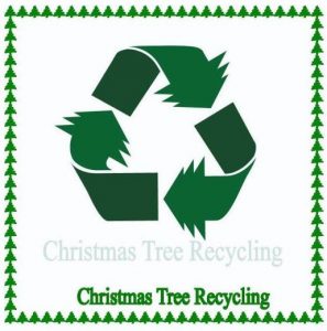 recycle your live Christmas tree