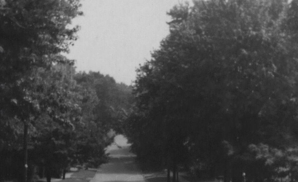 wide street in old Kuttawa