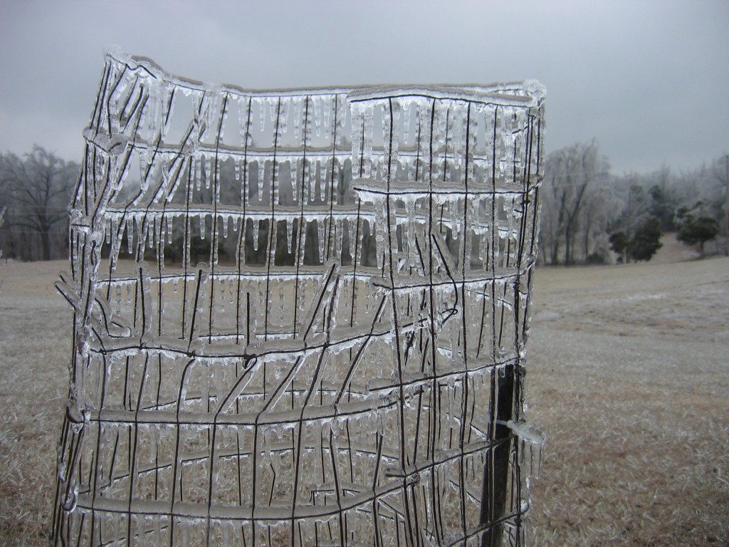 Ice Storm 2009