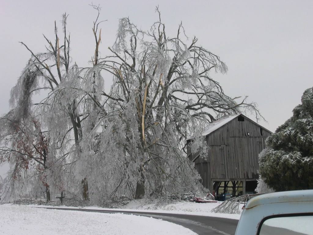 Kentucky Historic Ice Storm 2009