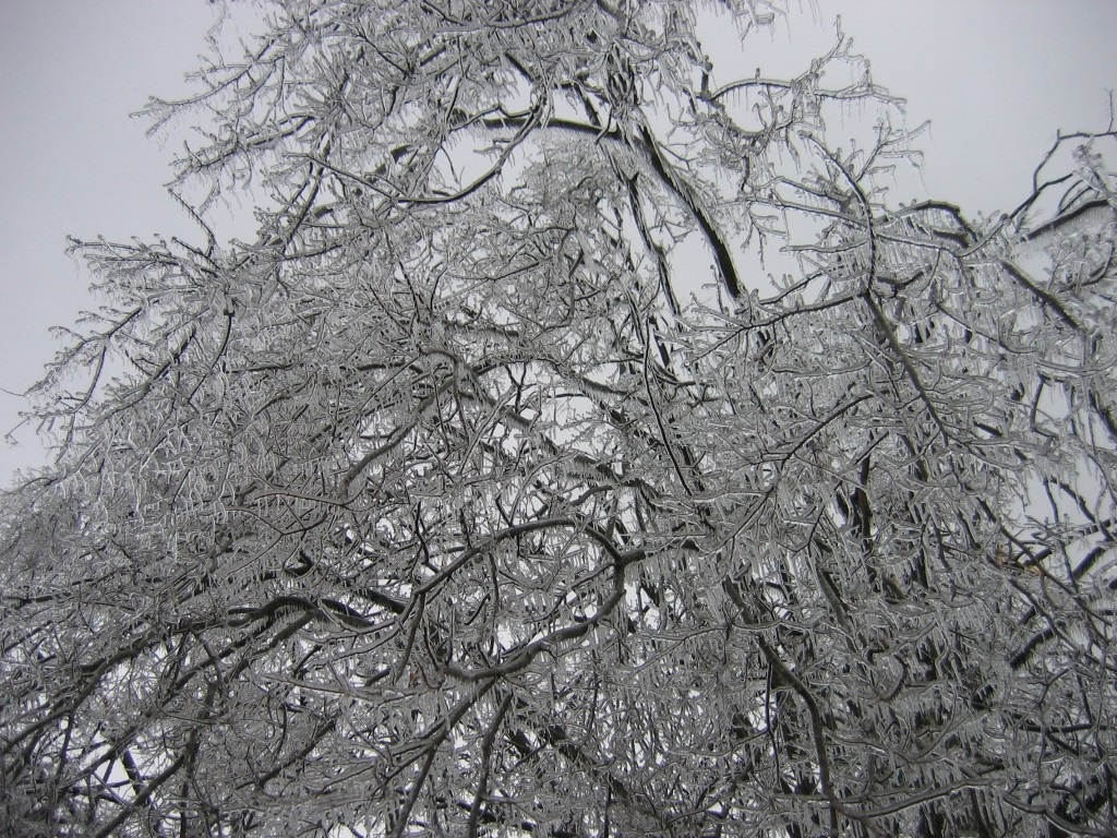 do you remember the sound as the wind moved the ice?