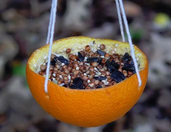 feed the birds in winter - make your own feed the birds in winter - make your own