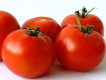 foods melted 60 pounds away - 3 tomatoes foods melted 60 pounds away - 3 tomatoes