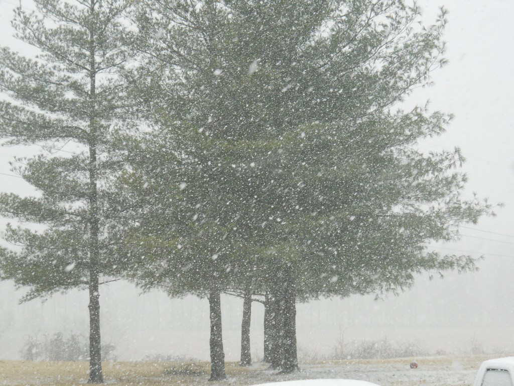 Super Bowl Sunday Snowstorm