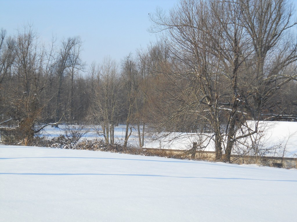 A fresh undisturbed blanket of snow - 5 to 6 inches