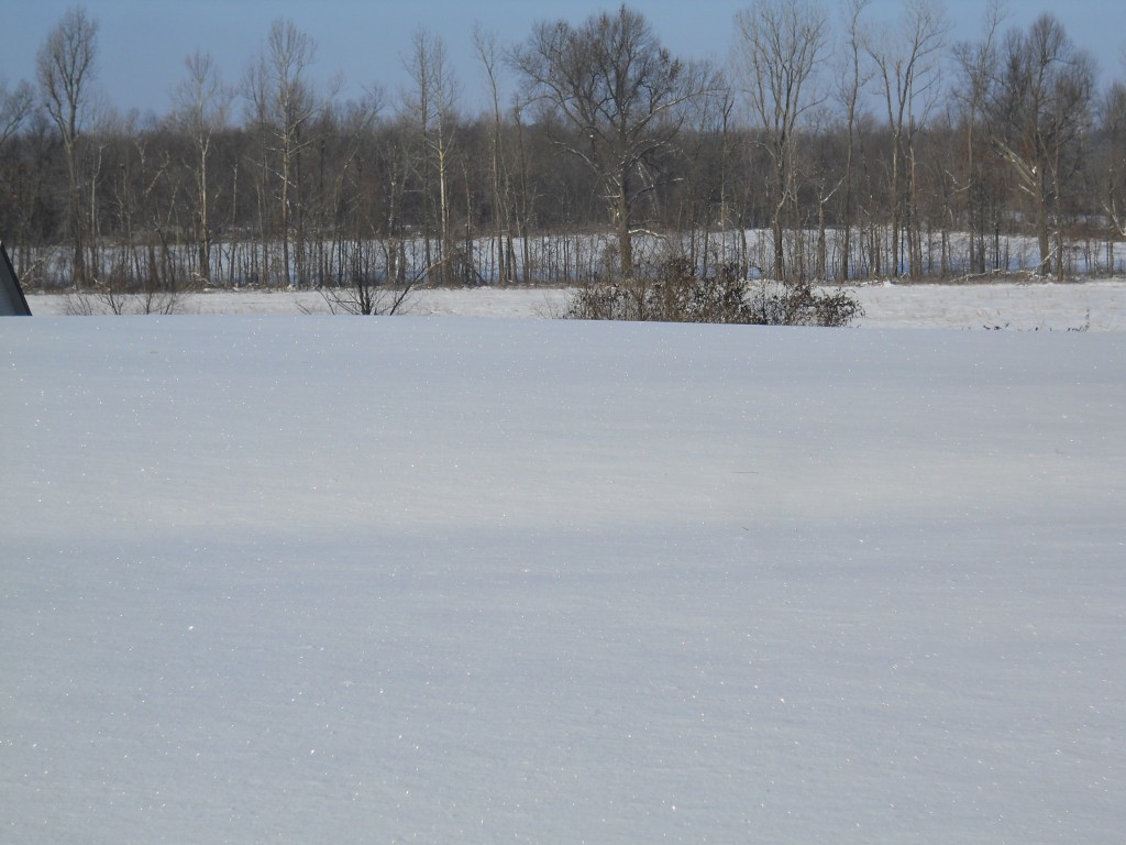 Snow sparkles in the sunlight