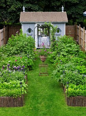 My Own Little Garden of Eden - like this small backyard garden