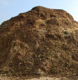 big-pile-of-manure.jpg