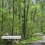 LBL in spring - a road less travelled LBL
