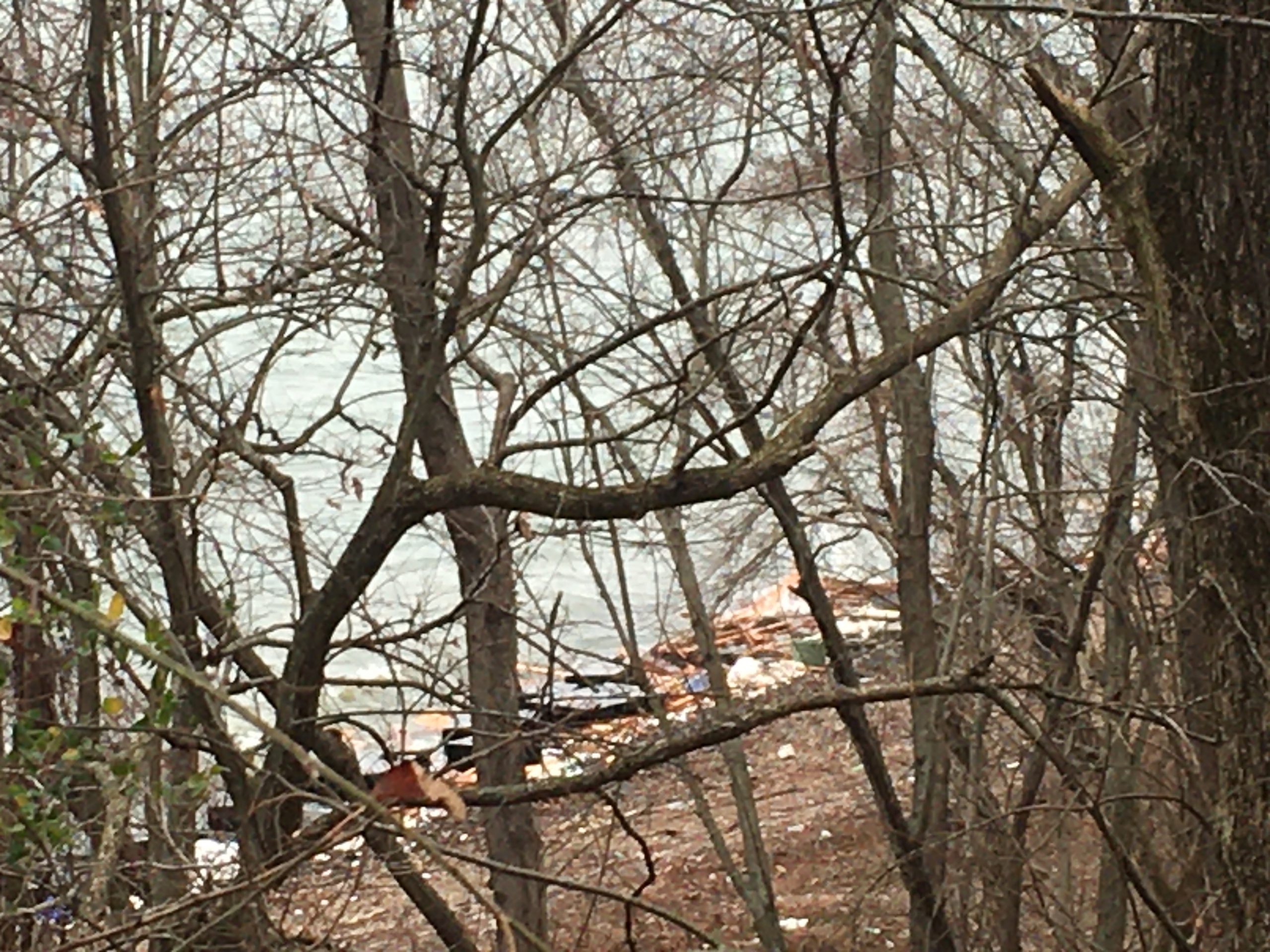 Debris along Kentucky Lake